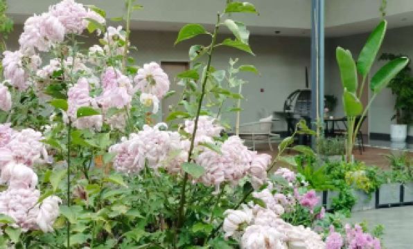 Daxu Yinyu Yayuan Homestay (Anren Ancient Town Branch)