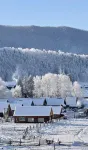 M HOTEL Resort Hotel (Jikepulin Ski Resort) - Afhentnings-/afleveringstjenester