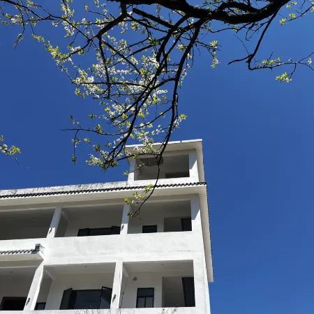 Jiufeng Mountain Hidden Realm, Lechang | Cloud Retreat Lodging