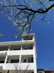 Jiufeng Mountain Hidden Realm, Lechang ｜ Cloud Retreat Lodging - Balcony