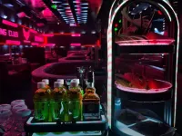Vienna Hotel (Meilong High-Speed Rail East Station High-Tech Zone PCB Industrial Park Branch) - bar