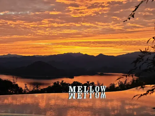 Mellow - جديد
