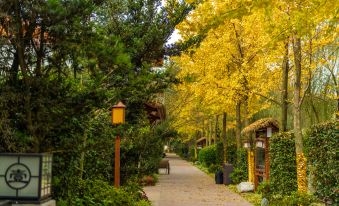 Chengdu Yunling Cottage Holte