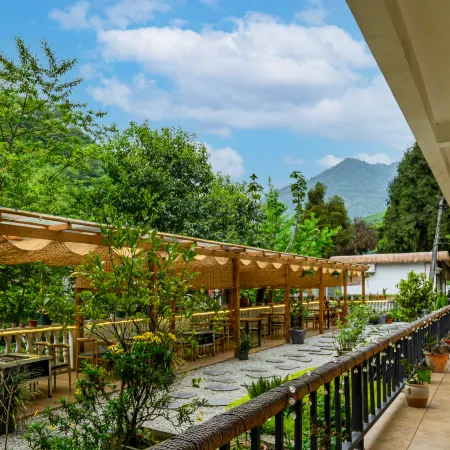 Qingcheng Mountain is not late