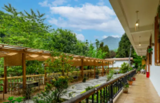 青城山不晚民宿