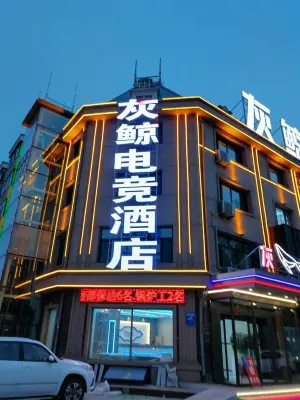 Wuchang Grey Whale E-sports Hotel