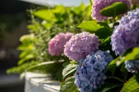 Warm Town Homestay (Shimao Plaza)