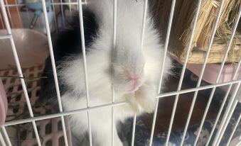 Seaview Forest Life·Aerobic (Shengsi Nanchangtu Beach Branch)