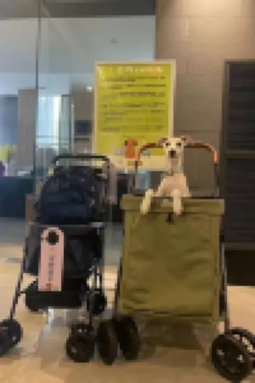 Narada Resort & Spa Phoenix Valley