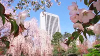 札幌中島公園普樂美雅酒店