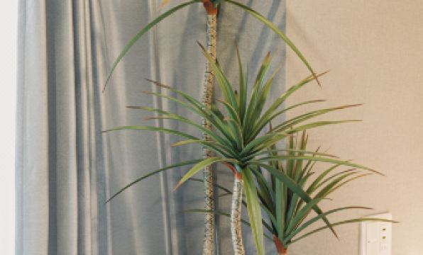 JS xiaozhai・senbonminami