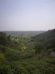 Yangjia Homestay (Xinyang)