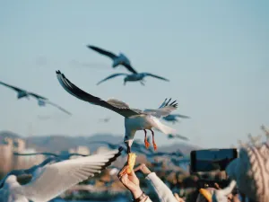 昆明華邑酒店（滇池）