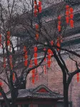 EASTERN HOUSE(Near Bell&Drum Tower City Wall) - Romantic