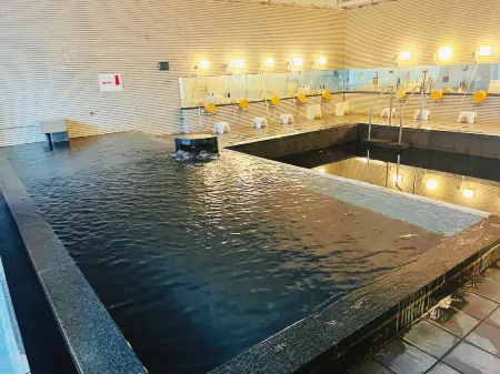 Hamanako Bentenjima Onsen Family Hotel Kaisyunro Отели рядом с достопримечательностью «Hamanako Garden Park»