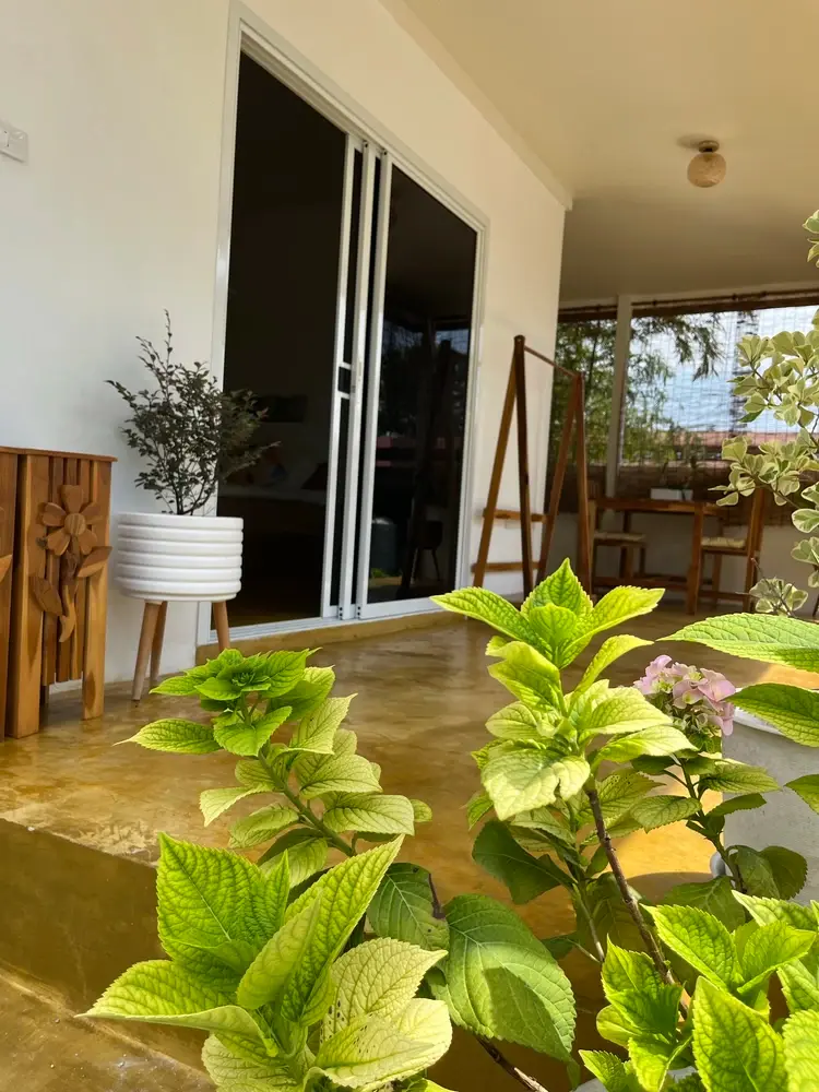 รูปภาพของเดอะซัมเมอร์คอทเทจ