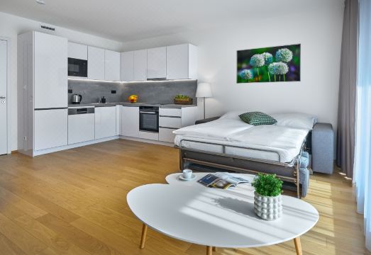 다운타운 스위트 안델 객실 이미지