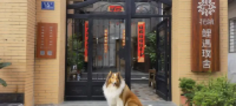 花築.鯉遇璞舍（泉州西街開元寺店） 泉州酒店