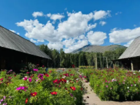 Hemmu Guanqiao Ge Homestay Hotels near Hemu Viewing Platform