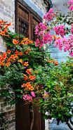Taohua Island Jianghu Hot Spring Homestay Hotel (Xinzhou Ancient City Branch)