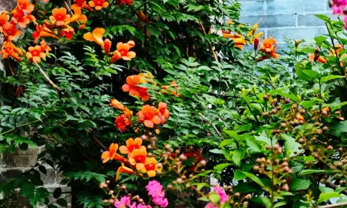 Taohua Island Jianghu Hot Spring Homestay Hotel (Xinzhou Ancient City Branch)