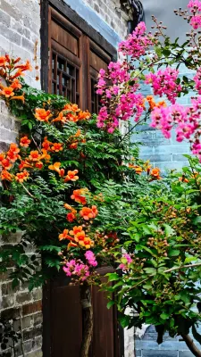 Taohua Island Jianghu Hot Spring Homestay Hotel (Xinzhou Ancient City Branch) Отели рядом со станцией Синьчжоу жд вокзал