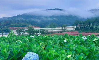 DA LAT THIEN VUONG