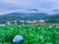 Đà Lạt Thiên Vương Homestay Các khách sạn ở Lạc Dương