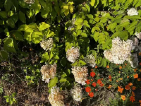 亞布力亞雪ホリデイホテル 尚志のホテル