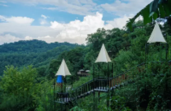 Misty Forest Retreat