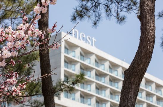 Nest Hotel, a Member of Design Hotels