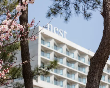 Nest Hotel, a Member of Design Hotels Hotels in Incheon