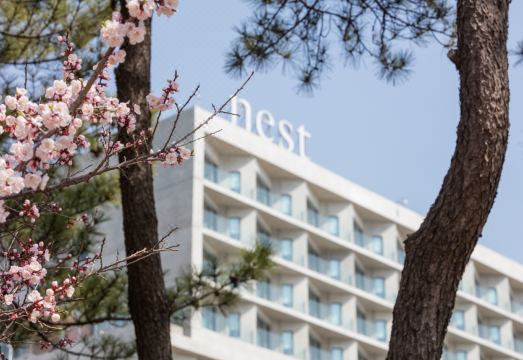 Nest Hotel, a Member of Design Hotels