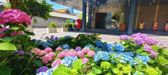 UrCove by Hyatt Xuzhou Pengcheng Plaza โรงแรมในซูโจว