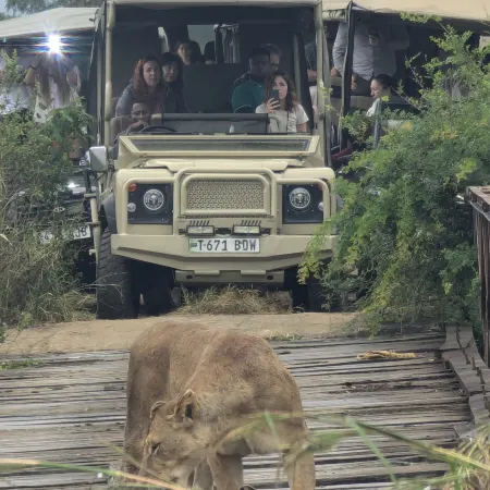 TCTC & CAMP TANZANIA