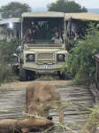 TCTC & CAMP TANZANIA