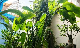 Chaochanghui Qiu Homestay