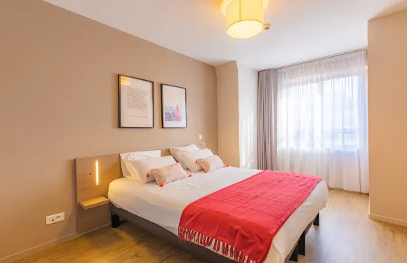 斯特拉斯堡中心舒適城市公寓酒店