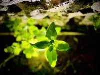 레이지 맨스 뷰 호텔 양숴 호텔