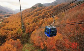 a cable car is seen above a forested area with autumn foliage , providing a scenic view of the foliage at Naeba Prince Hotel