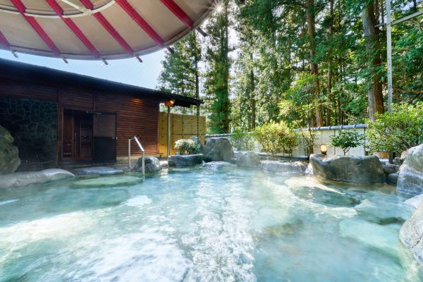 Ooedo Onsen Monogatari Gero Bekkan (Old:Yukai Resort Gero Saichoraku Bekkan)(大江戸温泉物語 下呂別館  (旧:湯快リゾート 下呂温泉 下呂彩朝楽別館))_5
