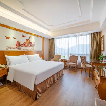 Vienna International Hotel (Mount Wuyi Impression Dahongpao) Отели рядом с достопримечательностью «Девять треугольных дрейфов»