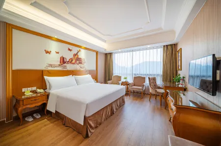 Vienna International Hotel (Mount Wuyi Impression Dahongpao) Отели рядом с достопримечательностью «Tianxin Yongle Temple»