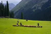瓊庫什臺溪與杉民宿 - 絶景