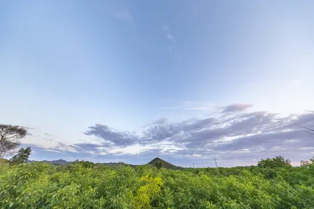 gxxs Отели рядом с достопримечательностью «Rose Garden»