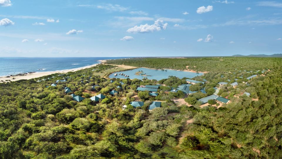Cinnamon Wild Yala