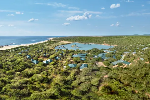 Cinnamon Wild Yala
