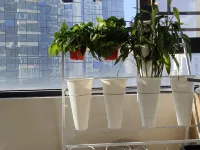 Haikou Jiusu Yizhai Pure Girl Youth Hostel