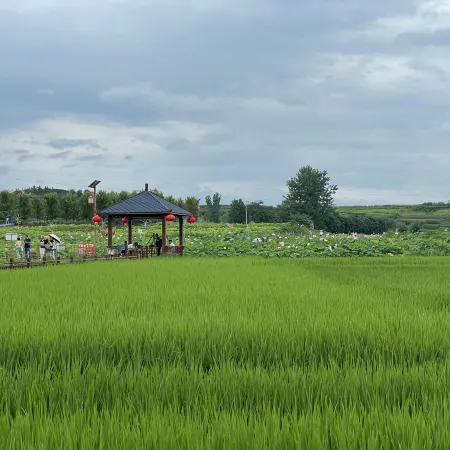 Qingmucun Zuoan Spring Homestay