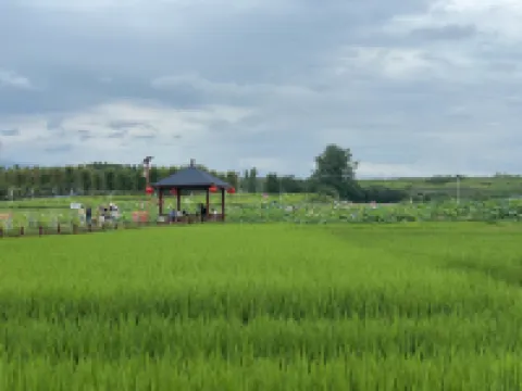 Qingmucun Zuoan Spring Homestay